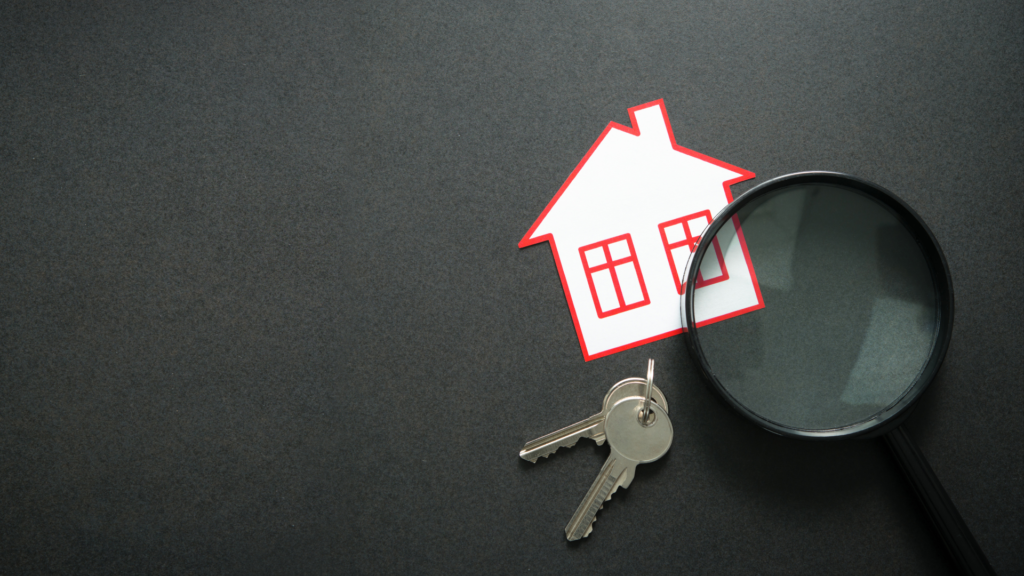 Trusted real estate professionals providing clear property guidance to clients